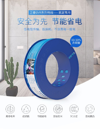  正泰(CHNT)電線(xiàn)電纜電源線(xiàn)銅芯多芯銅線(xiàn)多股家裝軟線(xiàn)10米